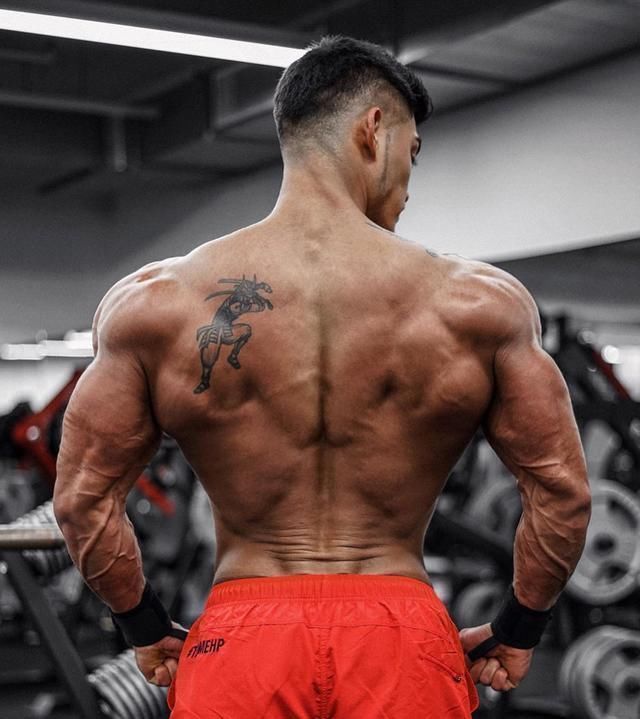 肌纤维|天天健身就能快速增肌避免2个错误,瘦人也能摆脱竹竿身材