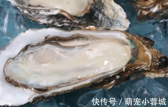牡蛎|4物是天然“雄激素”,男人再穷也要经常吃,或助肾脏越来越有活力