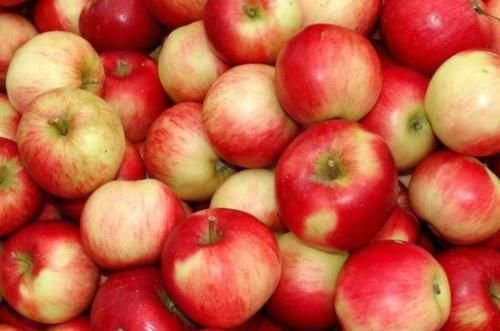 糖尿病患者不能吃水果？提示：4种低糖水果放心吃，对身体有好处