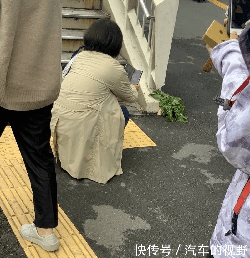 火车站|日本火车站水泥里长出“最顽强萝卜”，无数人专门坐火车去拍照