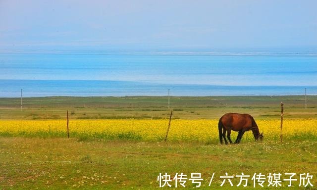 呼伦贝尔|7月去哪玩？国内这五个地方，景美又凉快