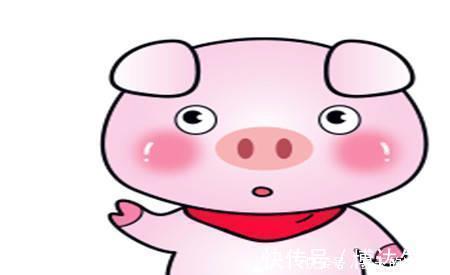 |幽默笑话：表妹是学校里的校花，最近有个富二代疯狂的追求她