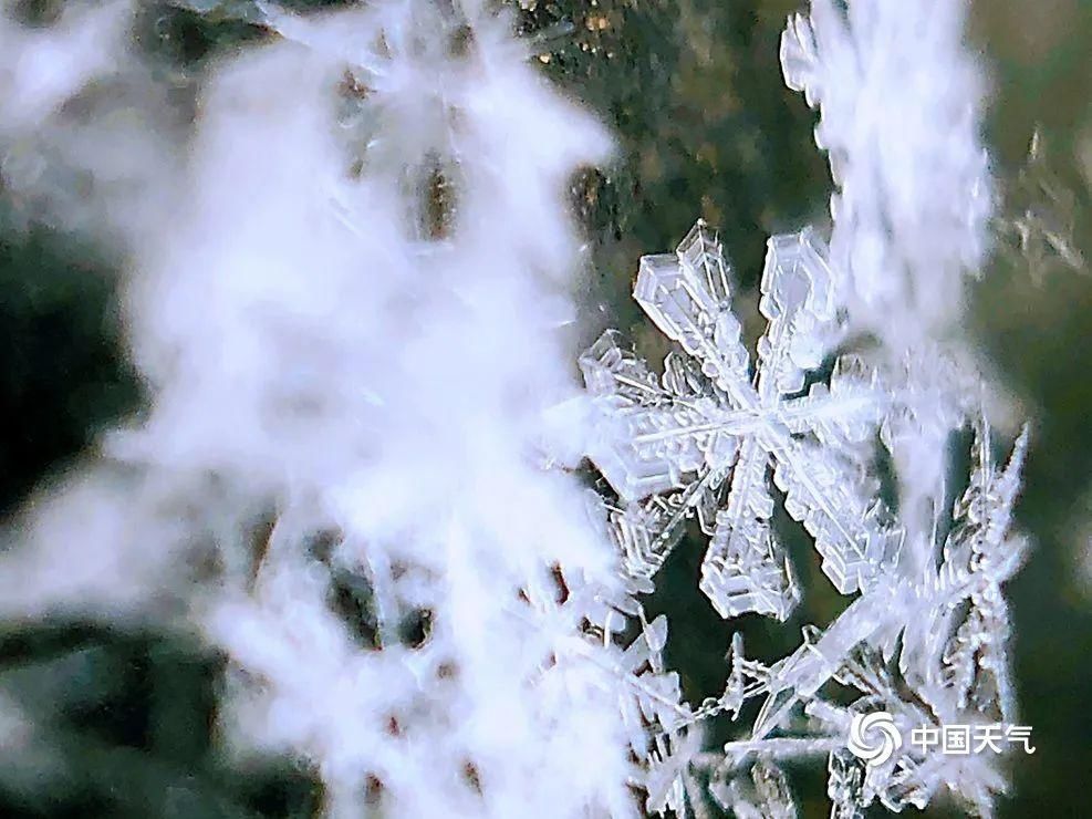 北京下雪了！故宫红墙白雪琉璃瓦美如画