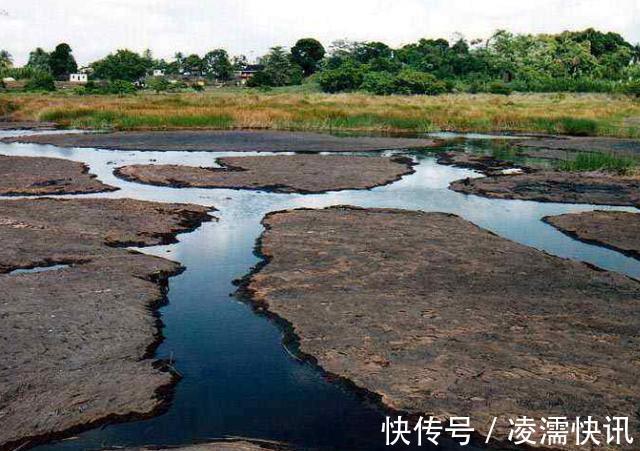 沥青|唯一没有水的湖泊，人和车皆可在湖面行走，却有不少动物丧生于此