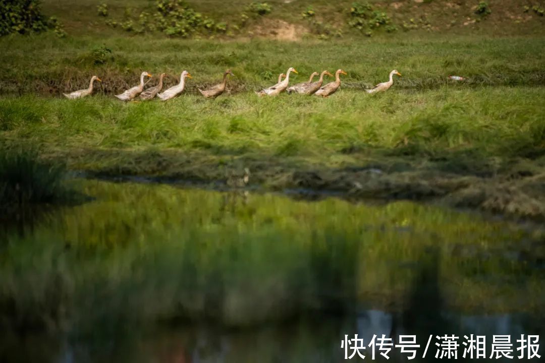 河床|堪称“小内蒙”，长沙这片草原太出片了！离市区只要45分钟