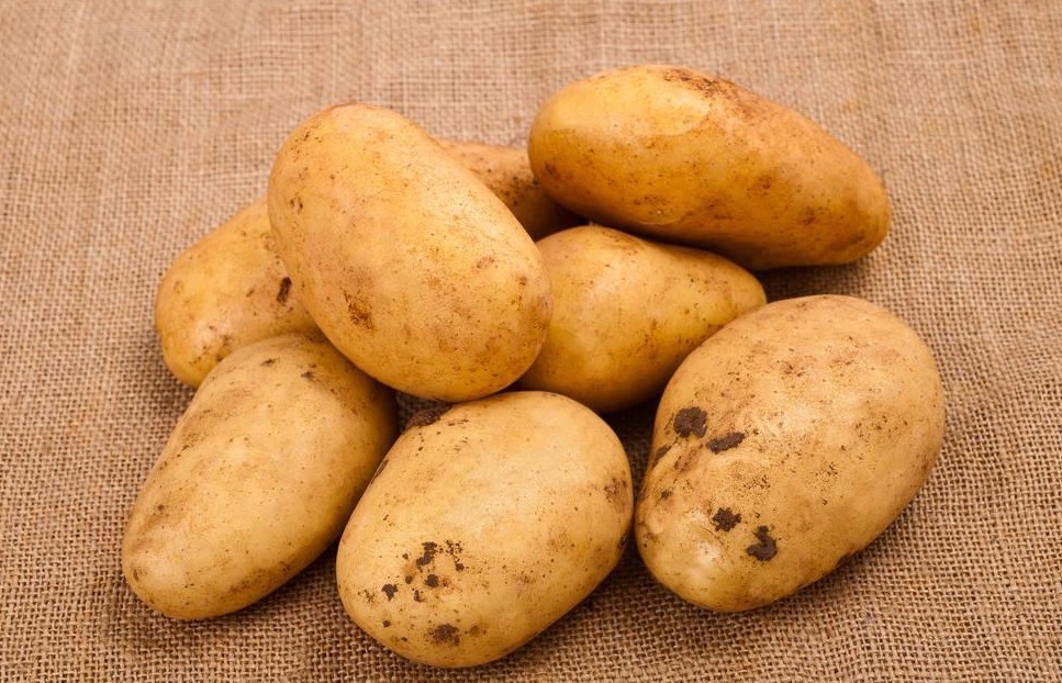 本草拾遗|土豆和它是天生的“克星”，切忌一起食用，谁知谁受益！
