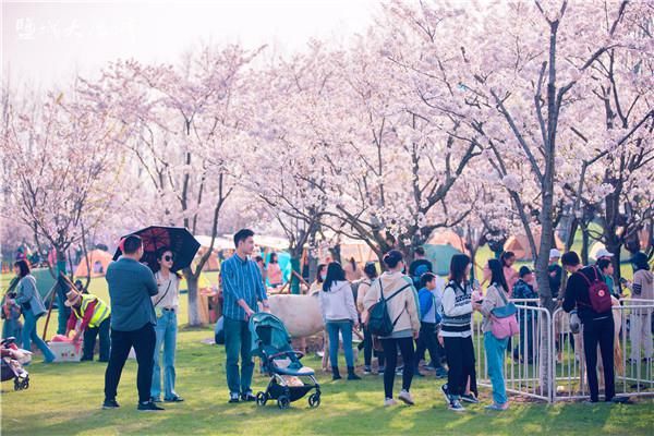 旅游业|盐城亭湖：立足“大文旅”全域美景入画来