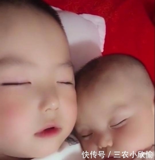 睡着|哥哥哄弟弟一起睡着后,掀开被子一看,妈妈的心被暖化了