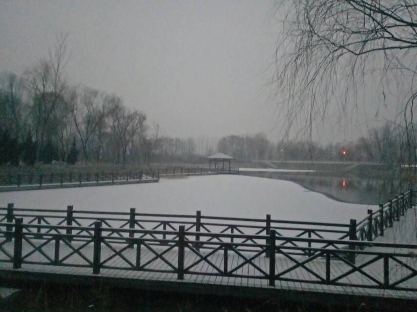 情报员|山东多地雪花到货，情报员用镜头记录清晨雪景，注意添衣保暖哦