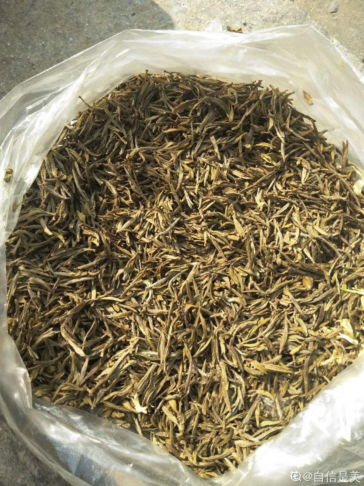 老人|茶叶扔掉太浪费，泡过的、过期的还能这样用，家里老人都不知道
