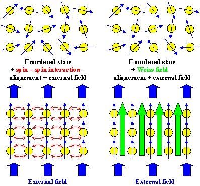 把人放进强磁场中会怎样？科学家用青蛙做实验，得到一只反重力蛙