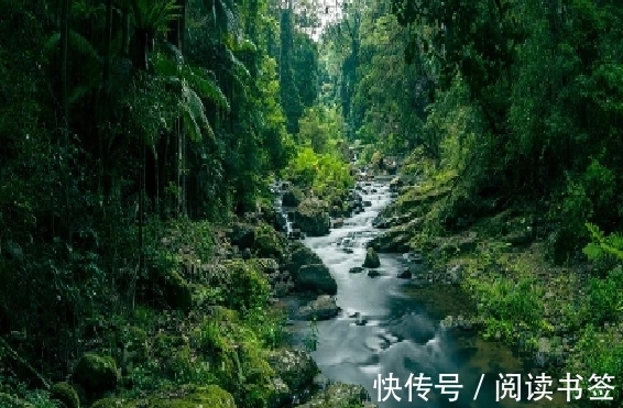 春寒!梅尧臣与袁枚各写了一首《春寒》,颔联异曲同工,结尾却心境迥异