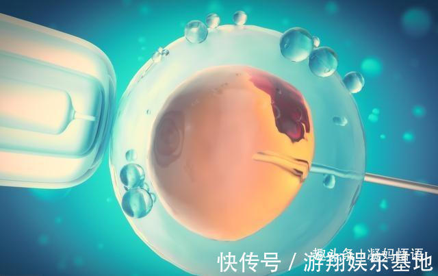 卵子|双胞胎长相差别大,爸爸去做了亲子鉴定,结论让全家炸锅了