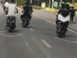 |搞笑GIF:好奇害死猫啊,而且还容易招打,哈哈哈