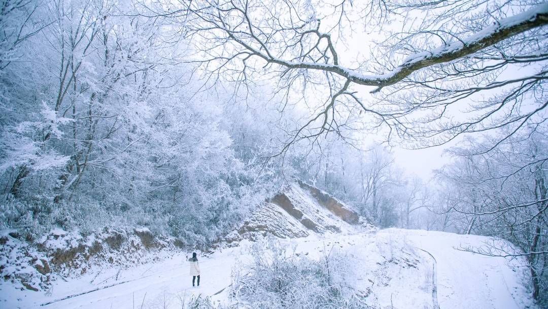 风景|俯仰皆风景 四川广元旺苍唯美雪景惹人爱