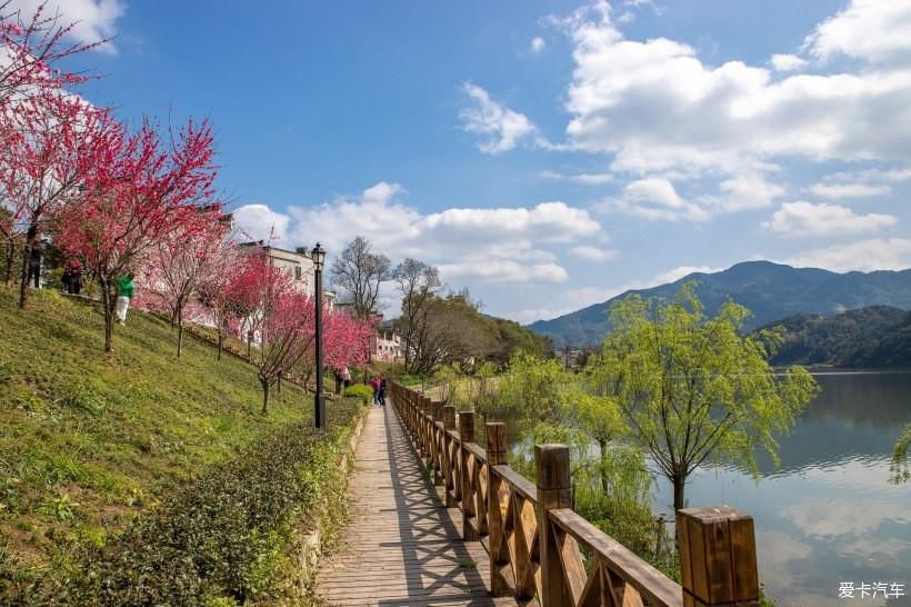 婺里看花花千姿、徽州古城美如画 - 自驾赏花之旅（一）