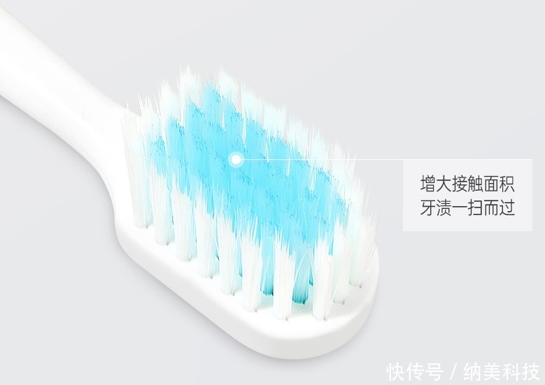 口腔|好物分享:用极简生活牙刷,缔造品质生活!