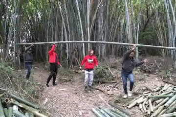 美食｜几位主持人齐齐抬竹子，难道要改行做木工？