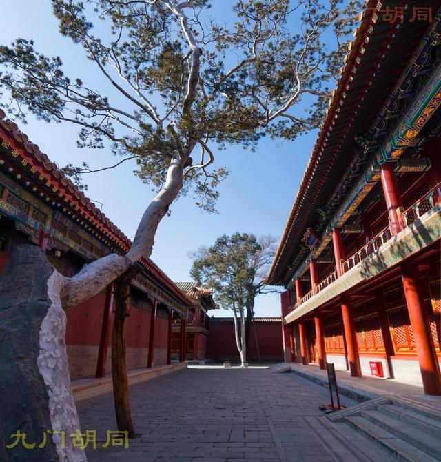 故宫主题免费日（之四），慈宁宫到神武门