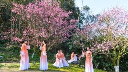 中年|新春佳节，常德5A桃花源迎来自驾游热潮