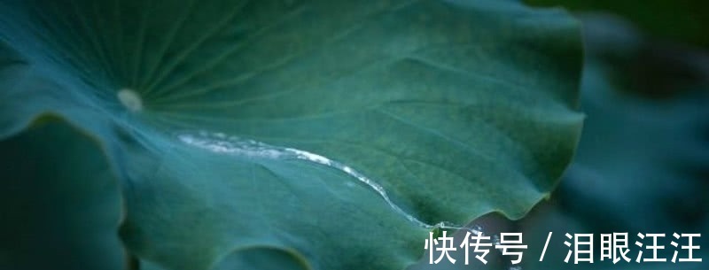 诗人#难怪卢照邻不服王勃,读他这首诗就知道,他的才华完全不输于王勃