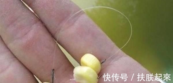 嫩玉米钓鱼,这两种泡制方法,能让渔获翻一倍