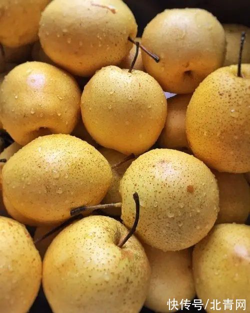 化痰|秋燥找上门，不妨多吃梨，但并非所有人群都适宜