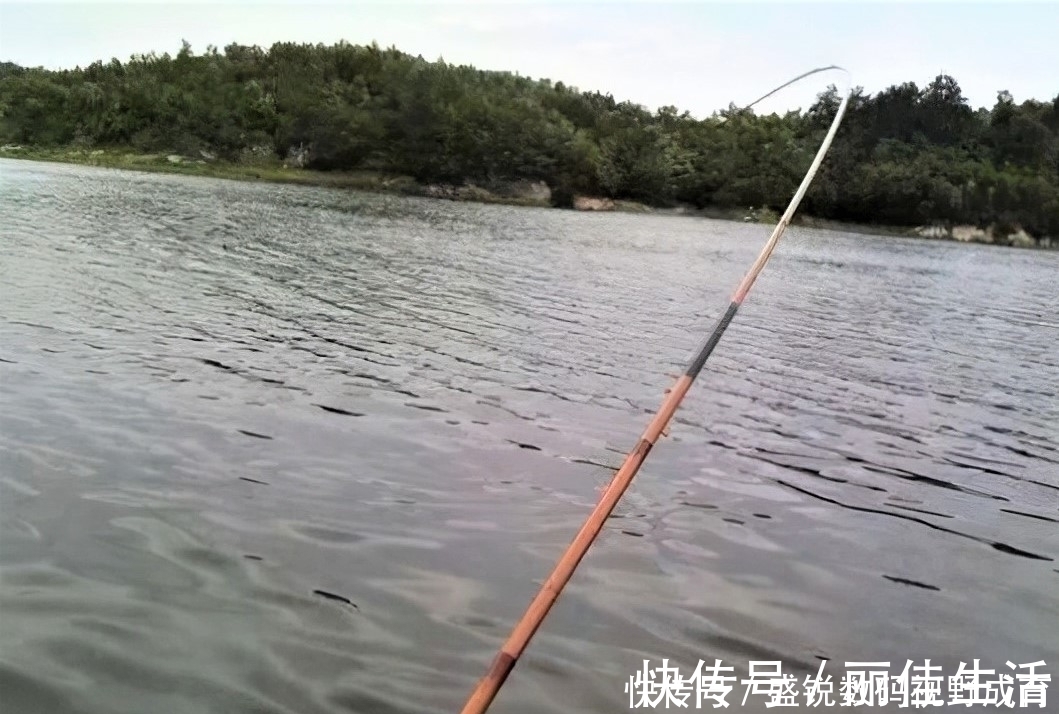 线组|钓到大鱼不切子线，却切主线是何道理？子线缠绕打结怎样解决