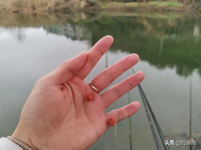 钓法|野钓不打窝的2种高效钓法,学会后上鱼总是快人一步