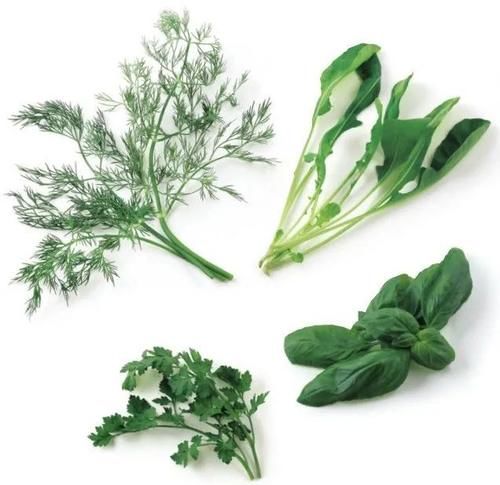 栽培香草享用极致的玩法，一经栽种，全程享乐！