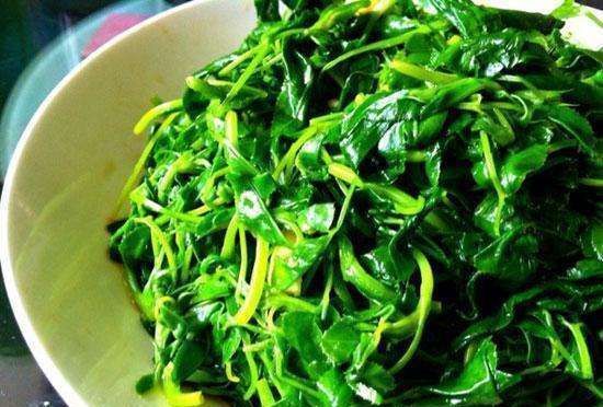 苜蓿芽菜|这菜有“营养”,一把种子发芽多,农村家家有,很充饥!