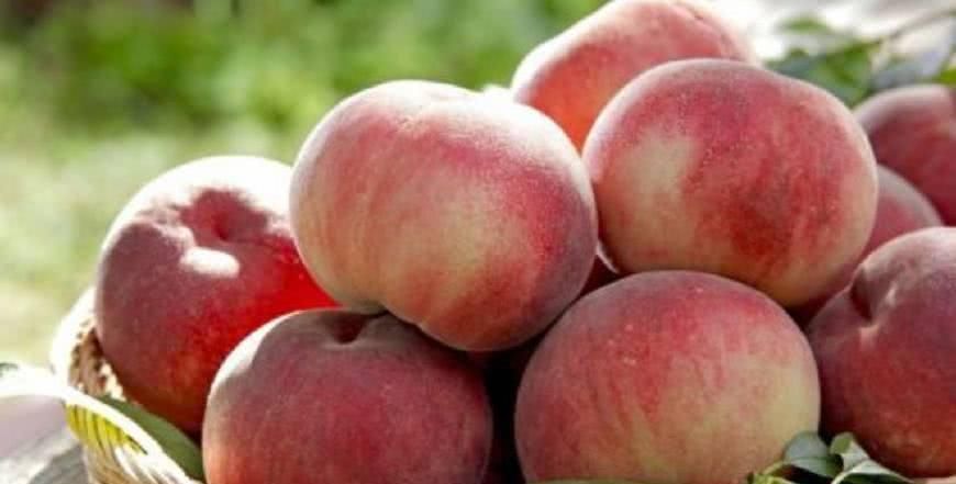 常吃|别看它样子丑, 却是子宫的“暖宝贴”, 女人常吃, 摆脱宫寒气色好