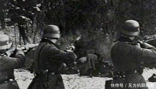 专家|二战后,这一小型战场被遗忘没人打扫,几十年后专家到现场惊呆了