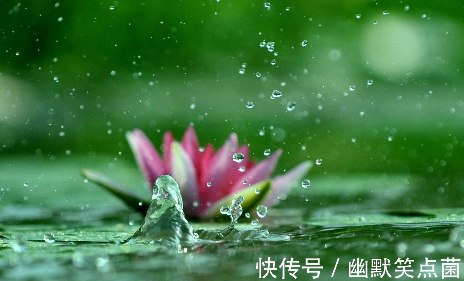 苦涩|苏轼晚年最凄凉的诗句:“小儿误喜朱颜在,一笑那知是酒红”