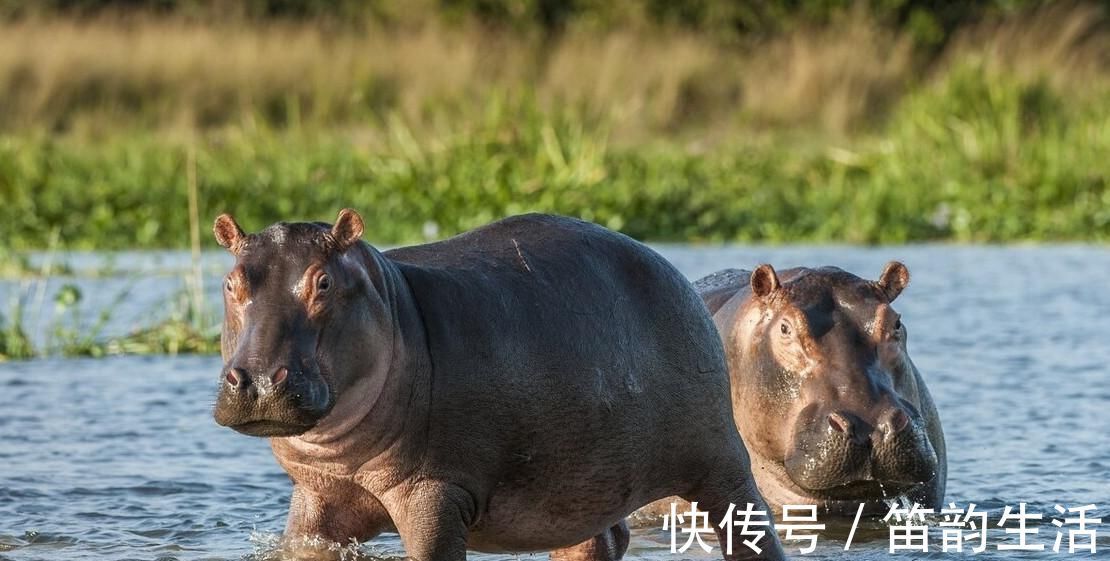 11个冷知识:或许没有机会使用,但能让人博学的奇怪知识