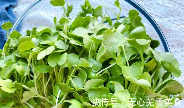毛菜|秋天遇到这种蔬菜,再贵也要买,营养丰富,脆嫩爽口,去秋燥补钙!