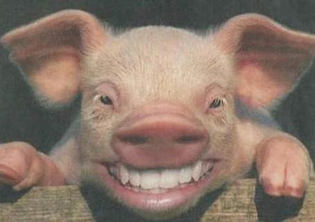 伍子胥|人死后为何要把脸盖上?并不是封建迷信!老祖宗的智慧让人佩服!