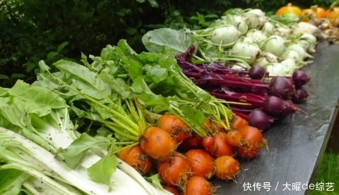 为了延长寿命,成年人每天需要这样吃!