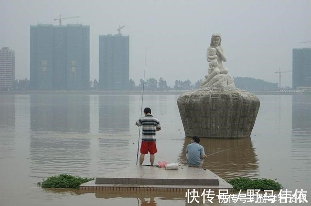 钓鱼|大鲫鱼藏在哪这5个地方都是鱼窝，看你错过了多少鱼