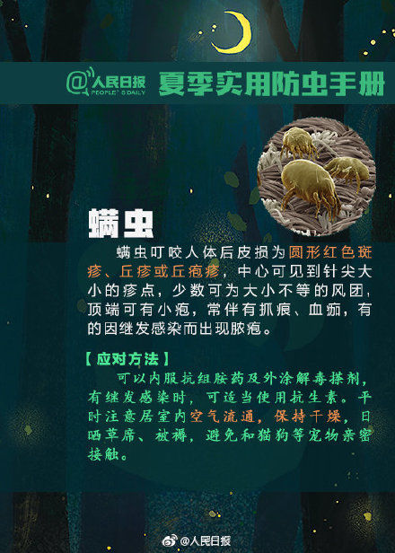 转发提醒！飞虫落身上不要随意拍打