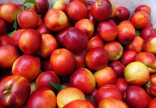 便秘|秋天想肌肤好，坚持吃几种食物，肌肤年轻，改善便秘，吃了变年轻