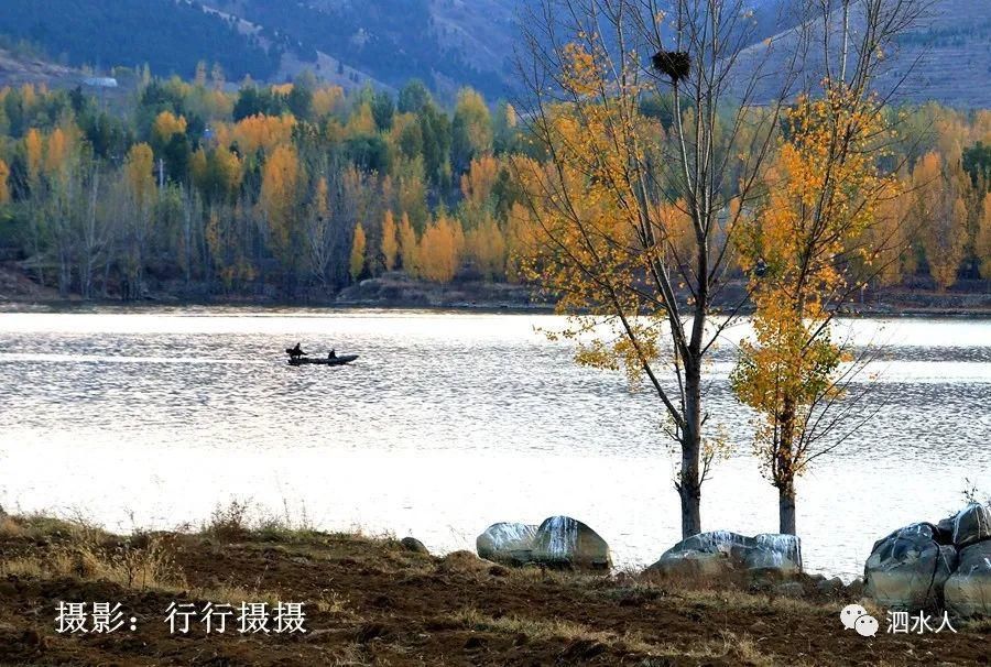  卧虎|新发现！泗水有一宛若卧虎的山，秋色正艳美如画