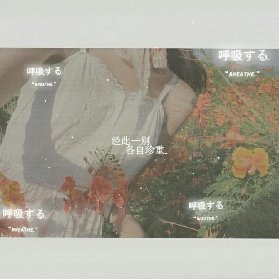 在乎你|最近流行一波“等你”壁纸我知道你会来,所以我等