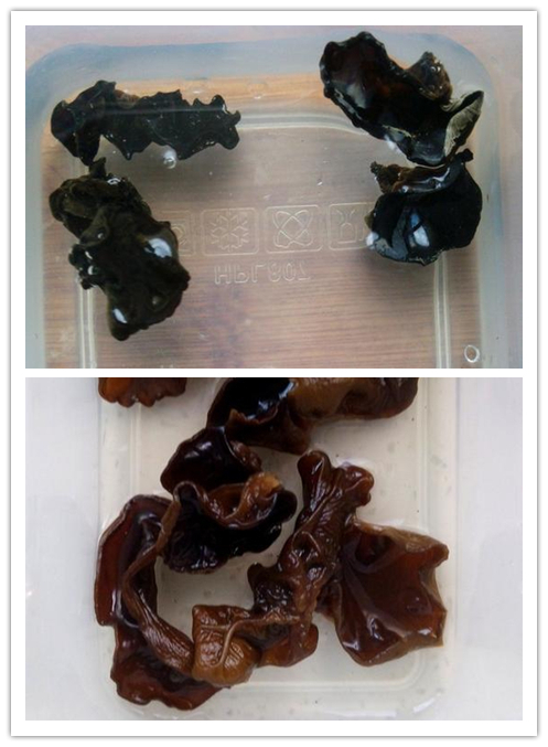 花菜最好吃的三种做法,隔壁小孩都馋哭了,你还不快试试?