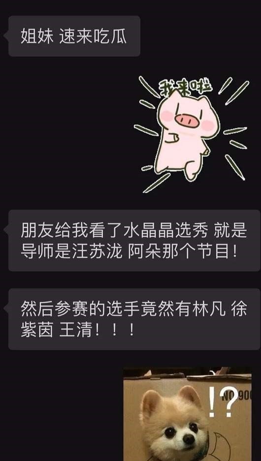 出走半生归来仍是选秀人,林凡、徐紫茵、王清又要参加女团选秀了