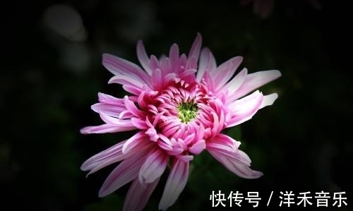 愁情&晏殊的千古名作,满溢愁情,句句都值得背诵