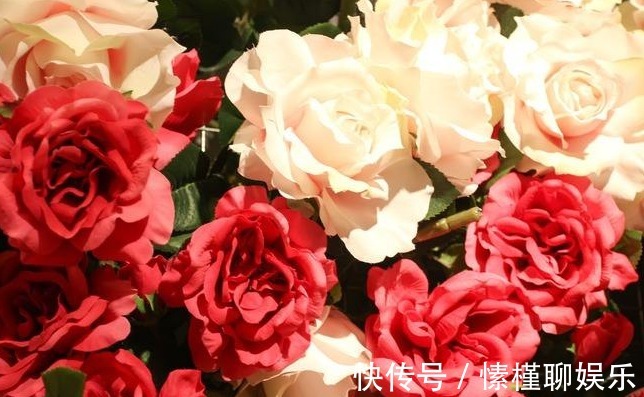 算命的说这三大生肖的女人,温润如玉,最容易让男人一见钟情