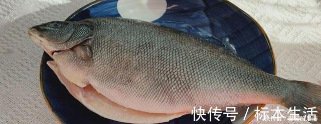 吃法|世界上最好吃的五种鱼,第一种浑身是毒,反而成为最高级的食材