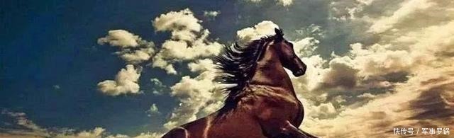 关键|古代战马骑兵起源于西方为何戎狄是中原骑兵发展的关键!