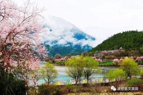 林芝桃花最密集、最壮观的观赏地，在这里！